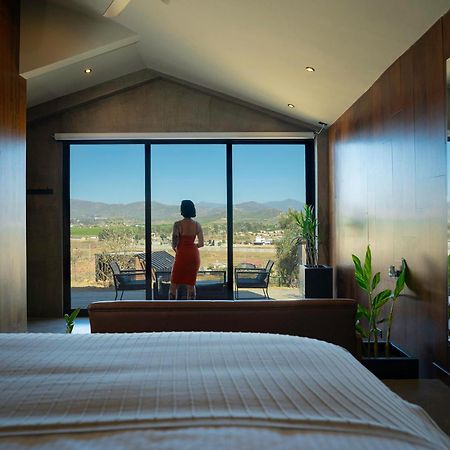 Bajo Estrellas Hotel Contemporaneo Valle de Guadalupe Dış mekan fotoğraf