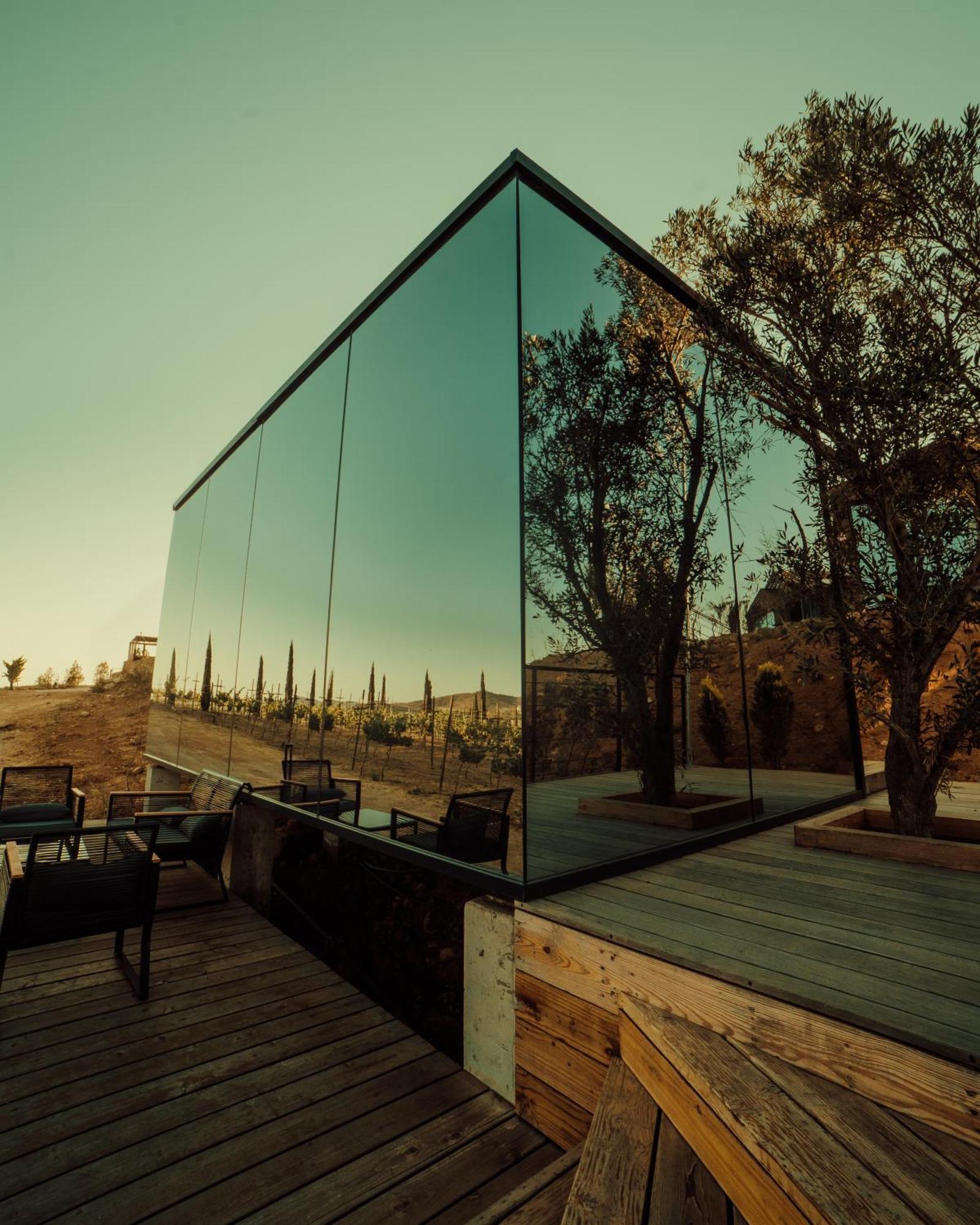 Bajo Estrellas Hotel Contemporaneo Valle de Guadalupe Dış mekan fotoğraf