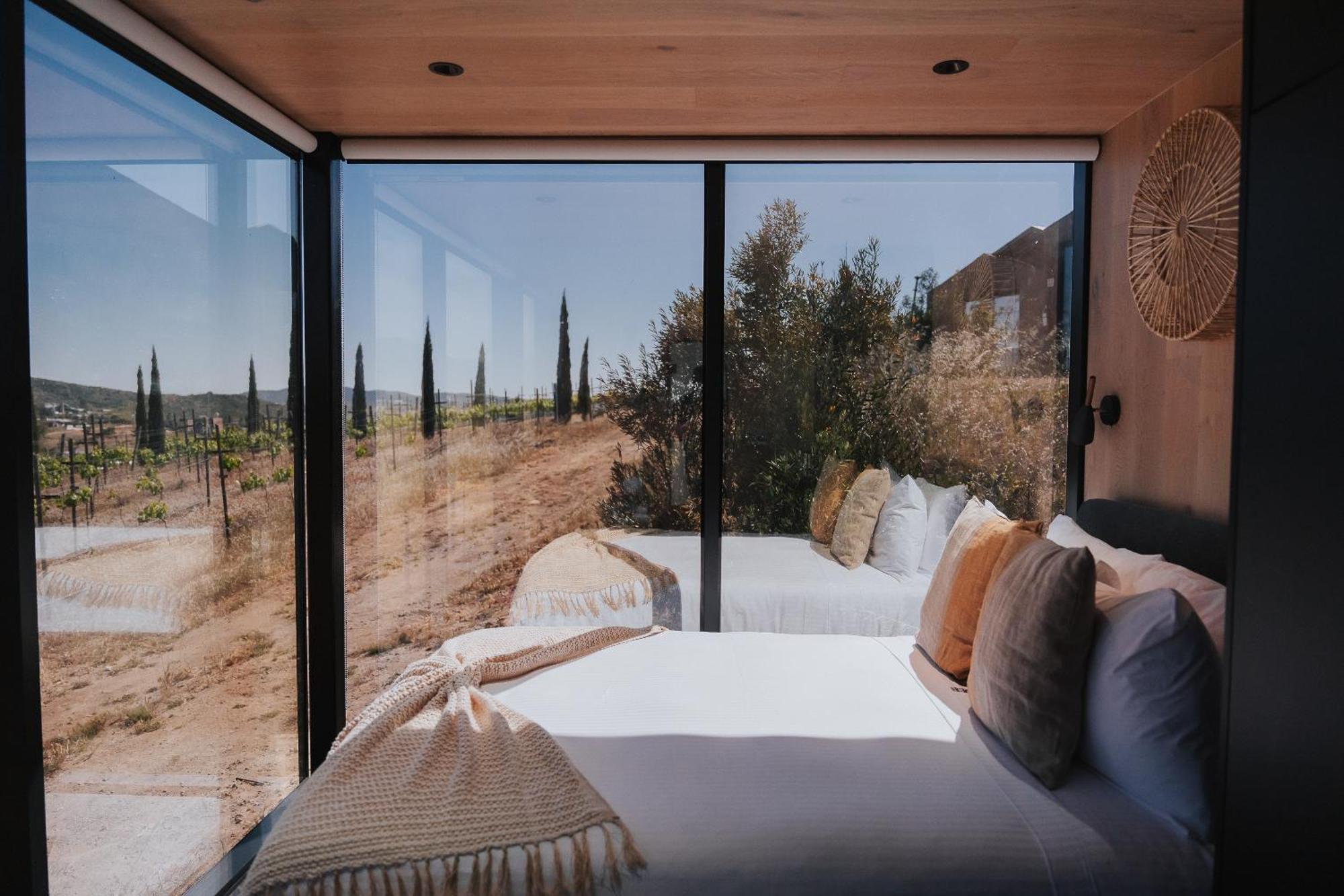 Bajo Estrellas Hotel Contemporaneo Valle de Guadalupe Dış mekan fotoğraf