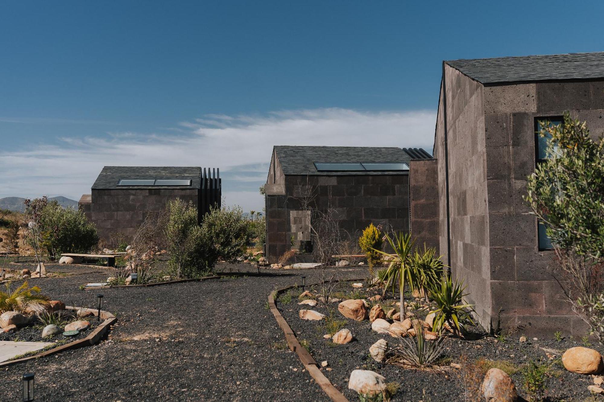 Bajo Estrellas Hotel Contemporaneo Valle de Guadalupe Dış mekan fotoğraf